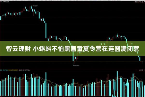 智云理财 小蝌蚪不怕黑盲童夏令营在连圆满闭营