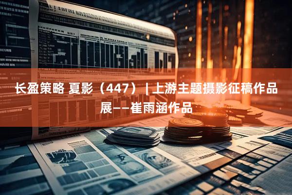 长盈策略 夏影（447） | 上游主题摄影征稿作品展——崔雨涵作品