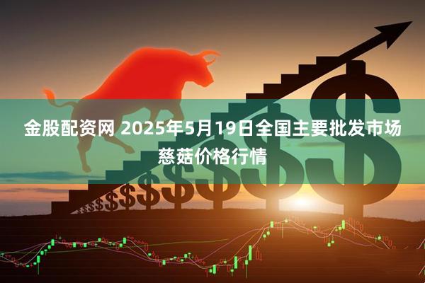 金股配资网 2025年5月19日全国主要批发市场慈菇价格行情
