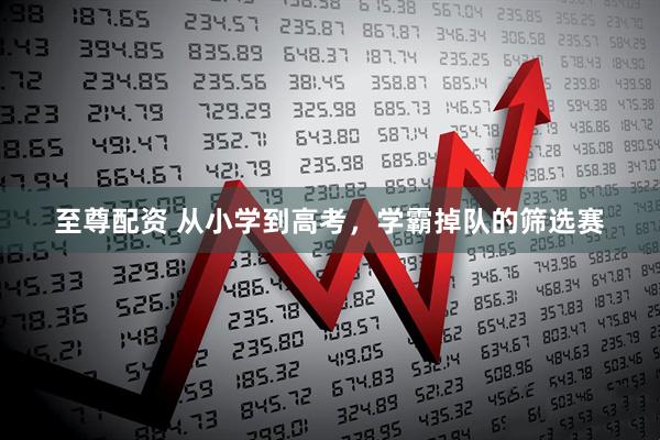 至尊配资 从小学到高考，学霸掉队的筛选赛
