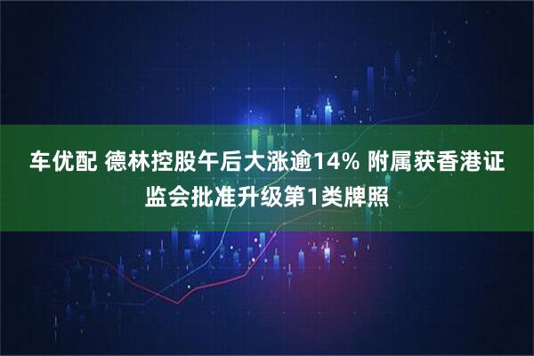 车优配 德林控股午后大涨逾14% 附属获香港证监会批准升级第1类牌照